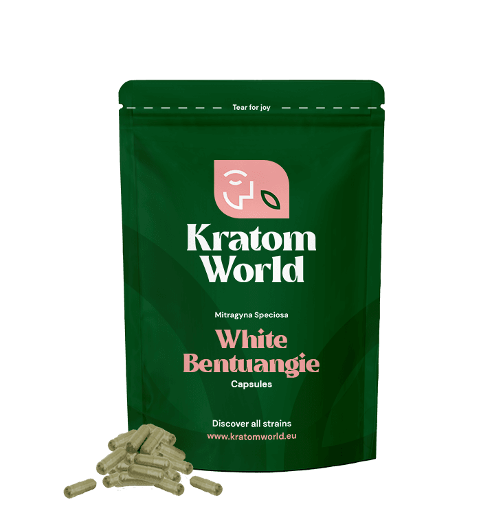 White Bentuangie kratom capsules - Kratom World